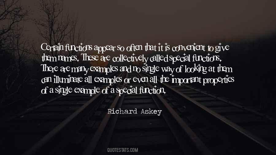 Richard Askey Quotes #497385