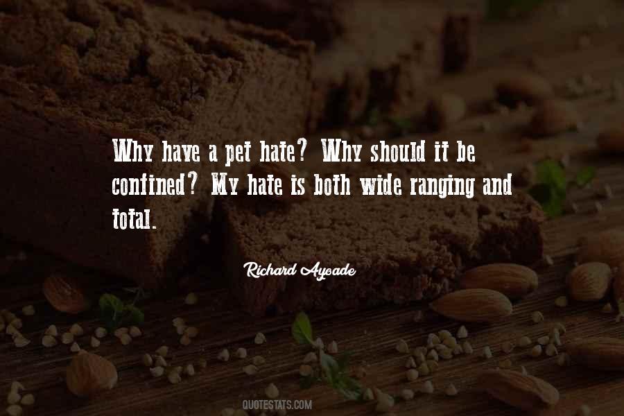Richard Ayoade Quotes #426937