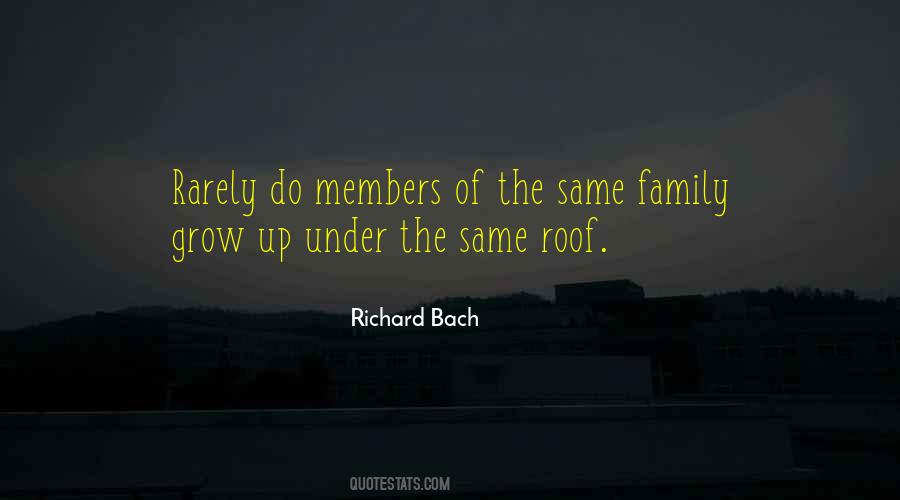 Richard Bach Quotes #369096