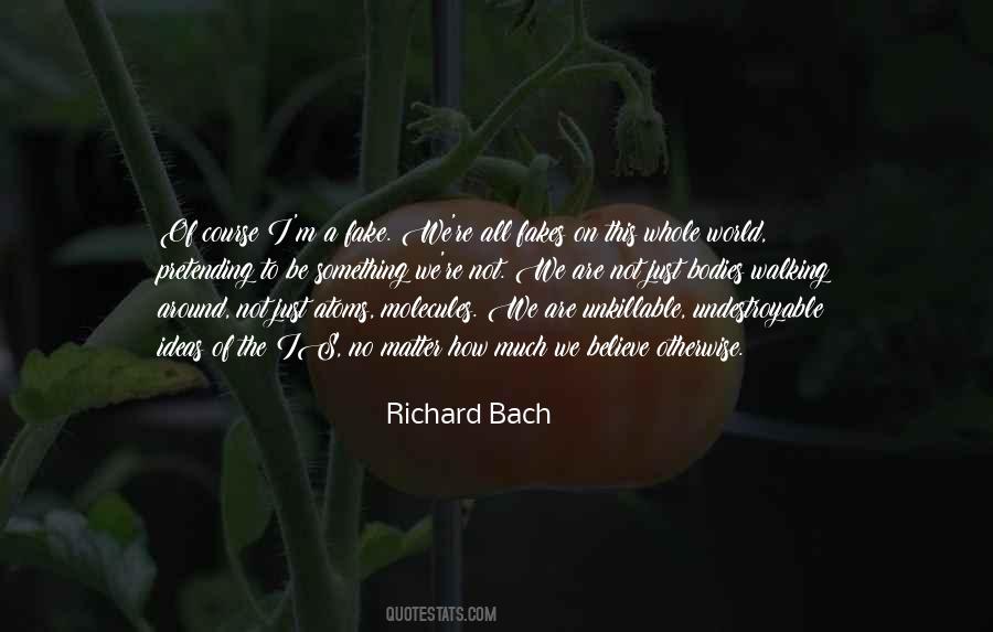 Richard Bach Quotes #485411
