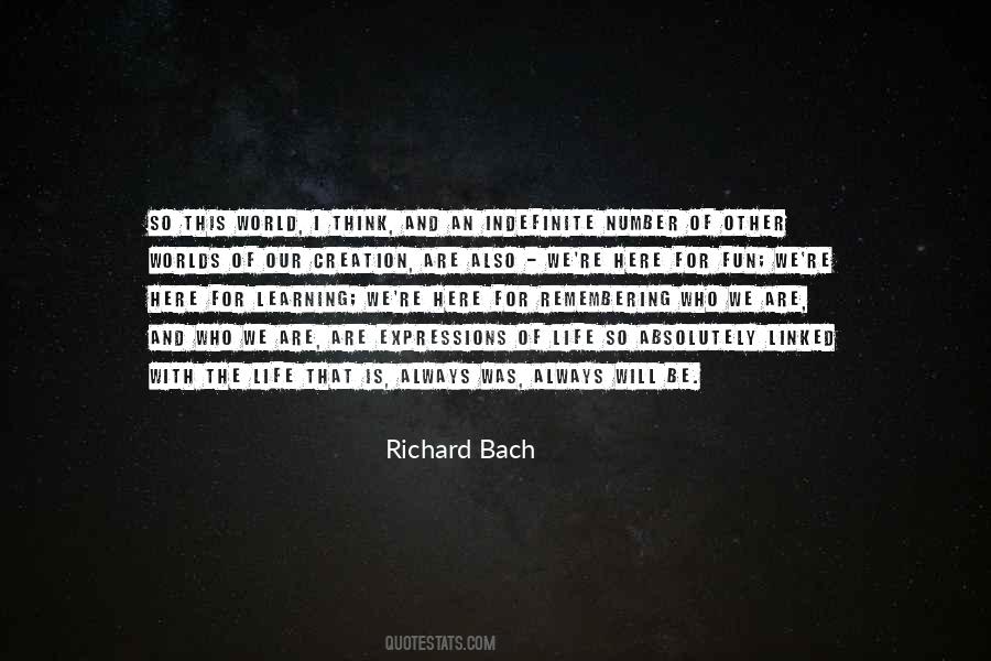 Richard Bach Quotes #49113