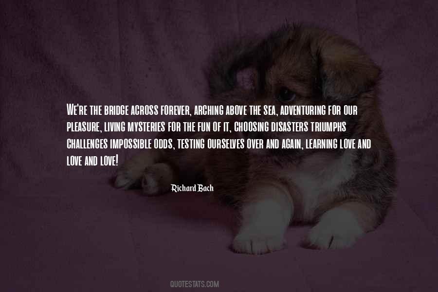 Richard Bach Quotes #893869