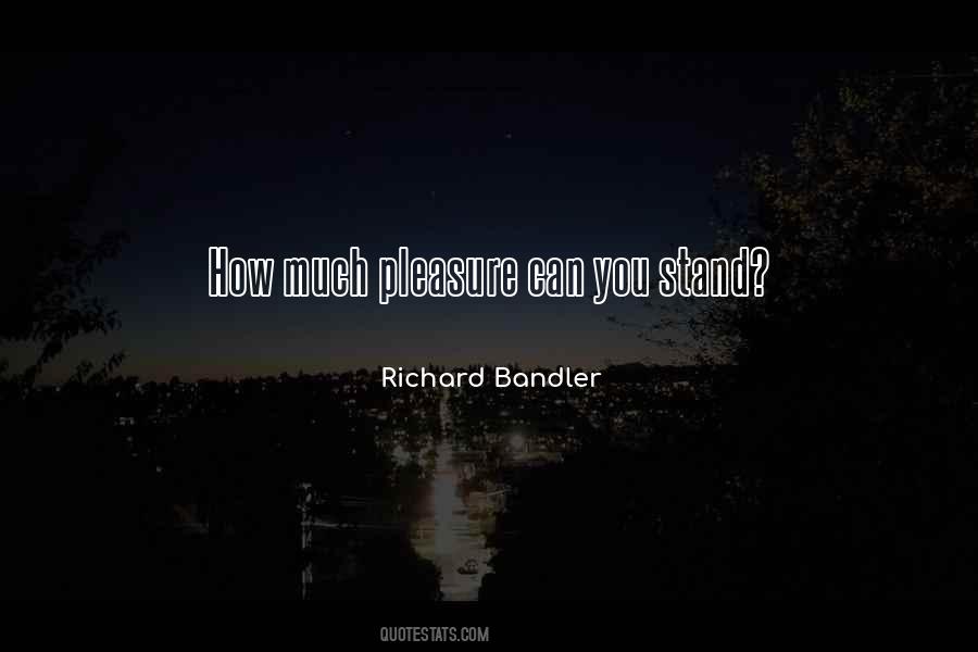 Richard Bandler Quotes #1382742