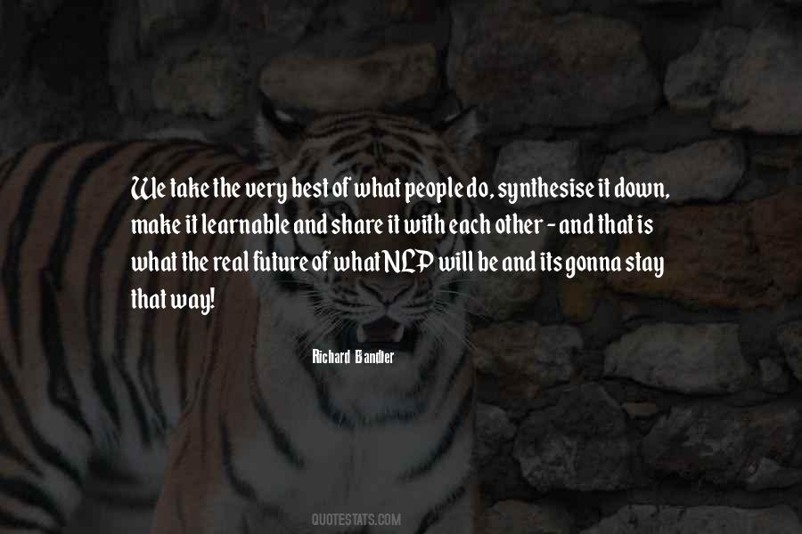 Richard Bandler Quotes #1649728