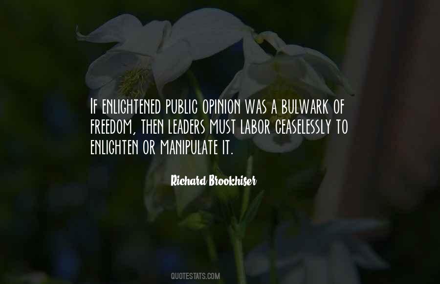 Richard Brookhiser Quotes #760226