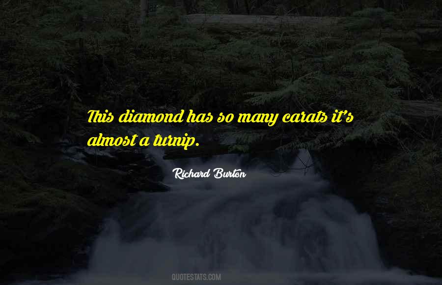 Richard Burton Quotes #298483