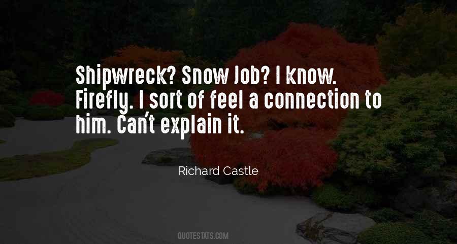 Richard Castle Quotes #123513