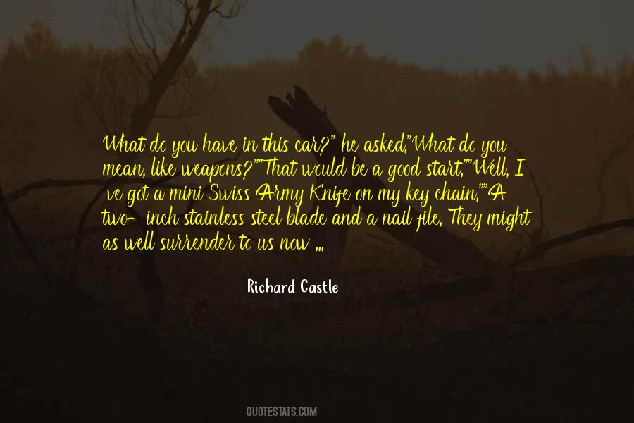 Richard Castle Quotes #1358