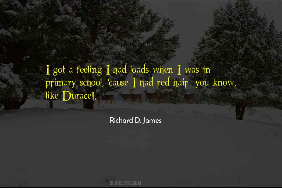 Richard D. James Quotes #507784
