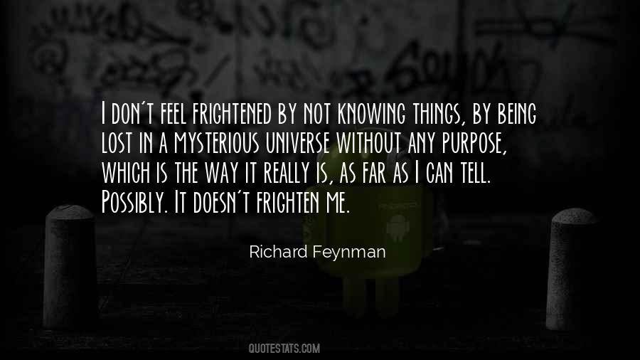 Richard Feynman Quotes #1097372