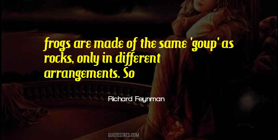 Richard Feynman Quotes #559149