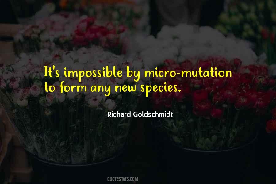 Richard Goldschmidt Quotes #606420
