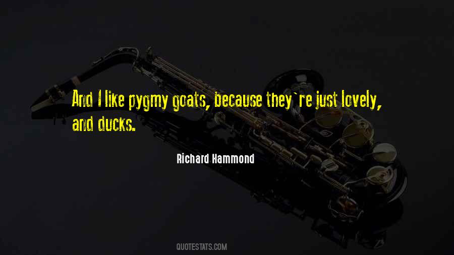 Richard Hammond Quotes #1459002