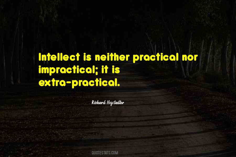 Richard Hofstadter Quotes #608115