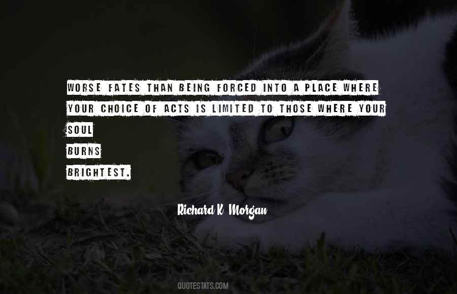 Richard K. Morgan Quotes #1740649