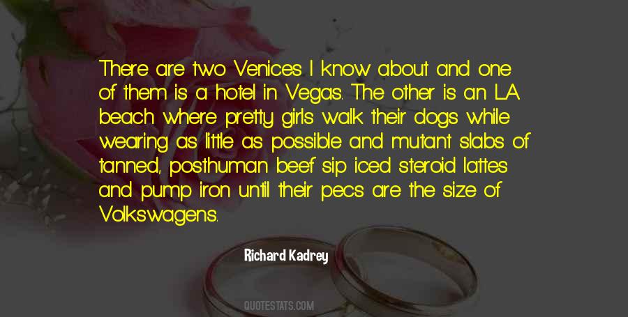 Richard Kadrey Quotes #451131