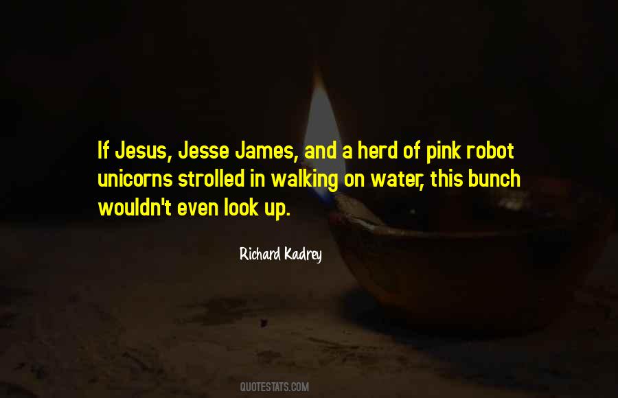 Richard Kadrey Quotes #455547