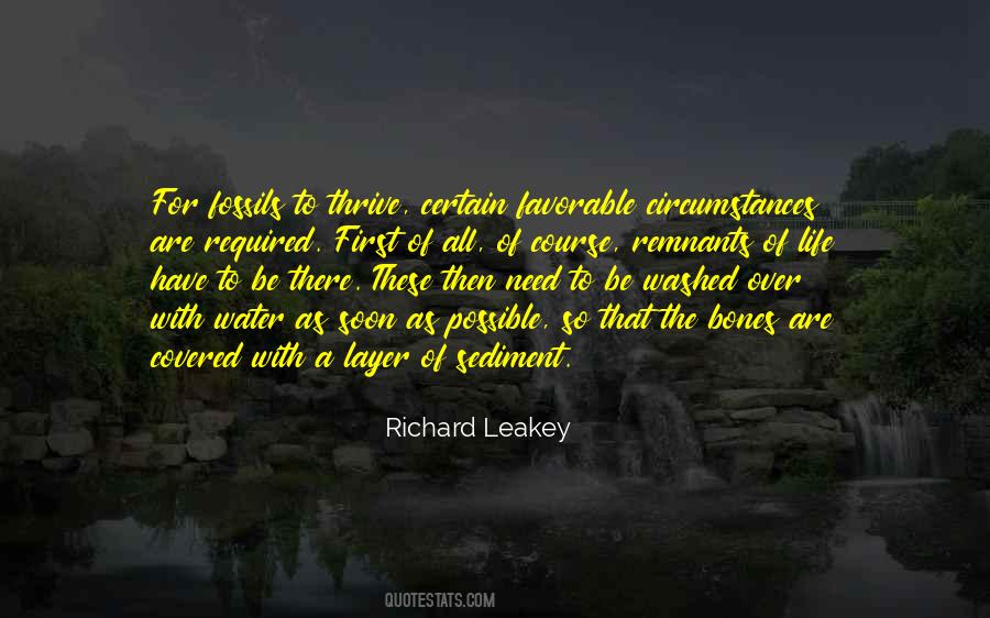 Richard Leakey Quotes #1127739