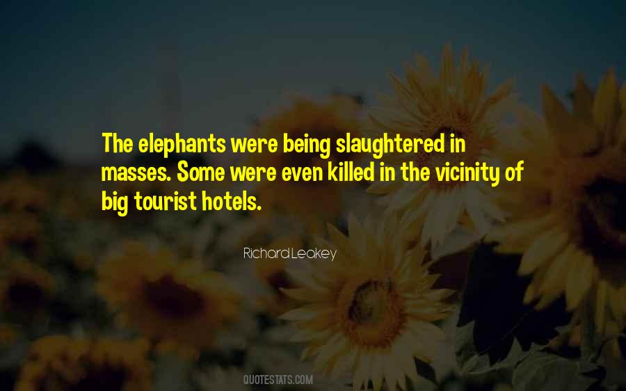 Richard Leakey Quotes #1827845