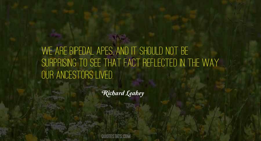 Richard Leakey Quotes #800655