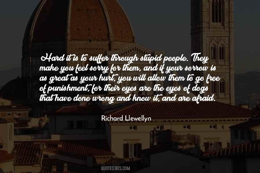 Richard Llewellyn Quotes #1138747