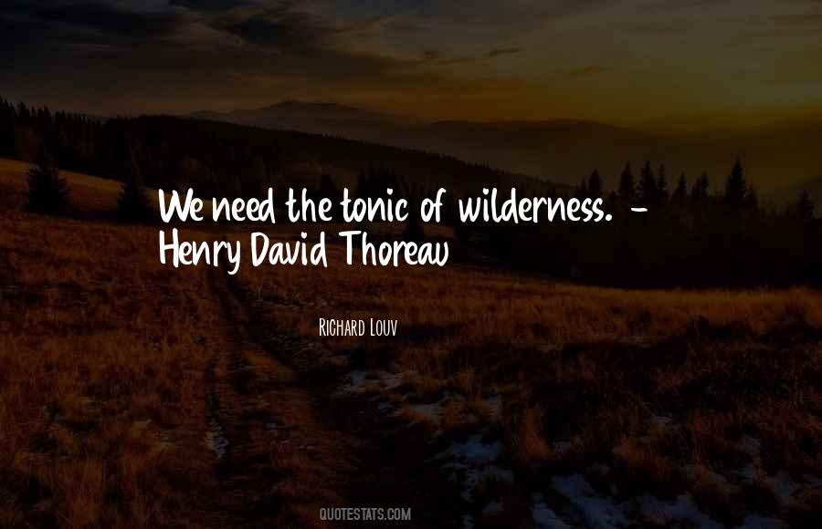 Richard Louv Quotes #1005478