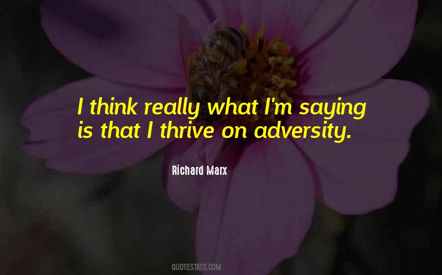 Richard Marx Quotes #769274