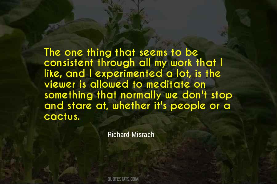 Richard Misrach Quotes #669264