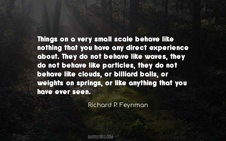 Richard P. Feynman Quotes #13047