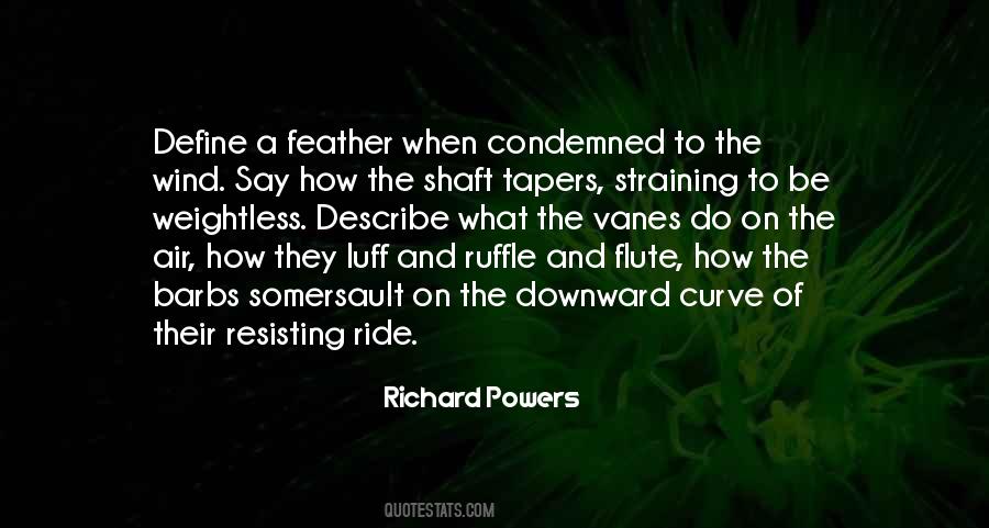 Richard Powers Quotes #1453057