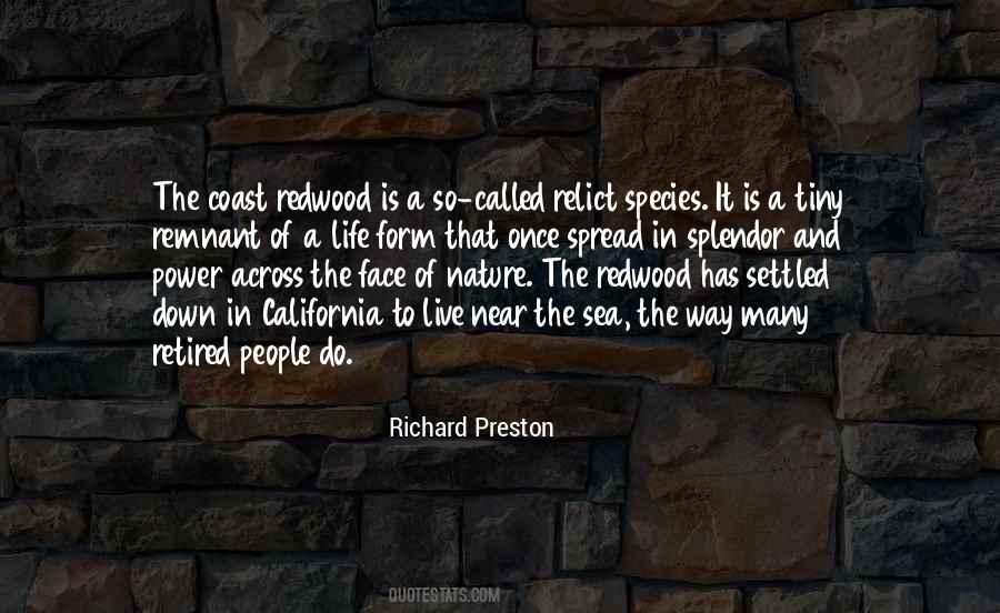 Richard Preston Quotes #874437