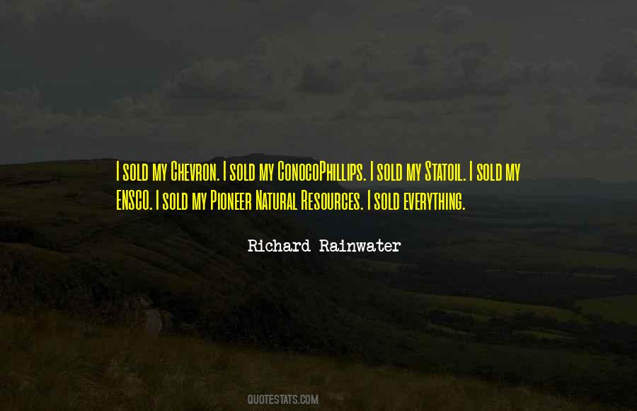 Richard Rainwater Quotes #1860138