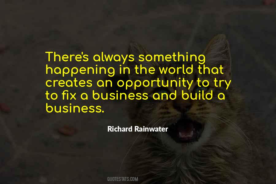 Richard Rainwater Quotes #356566