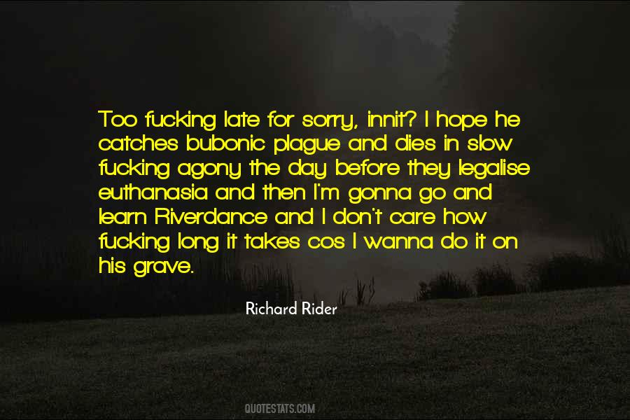 Richard Rider Quotes #1367218