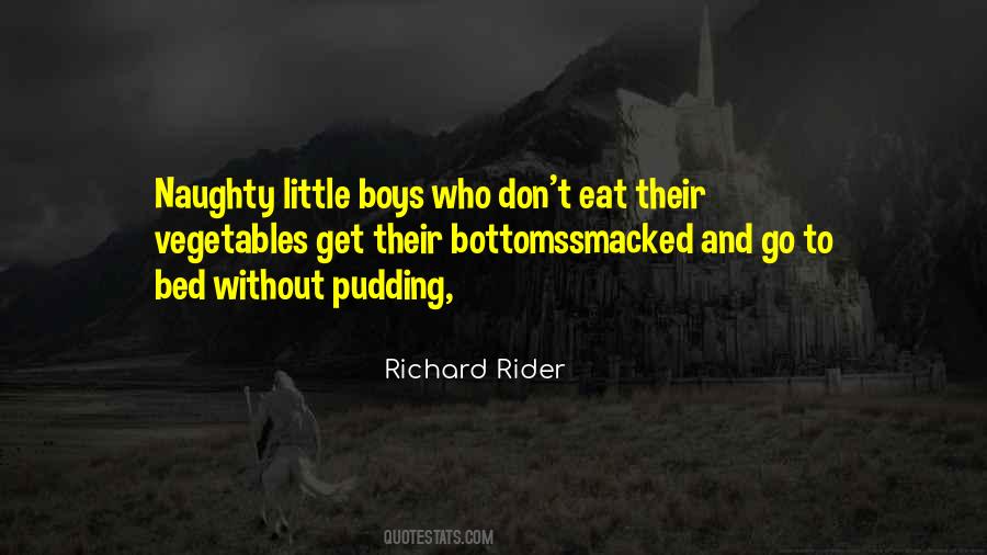 Richard Rider Quotes #995856