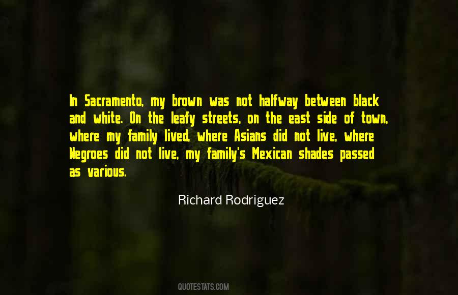 Richard Rodriguez Quotes #1443921
