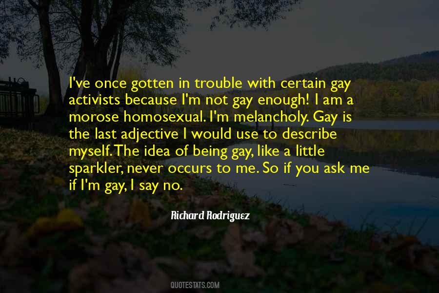 Richard Rodriguez Quotes #931985