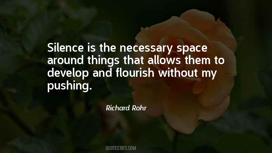 Richard Rohr Quotes #1794946