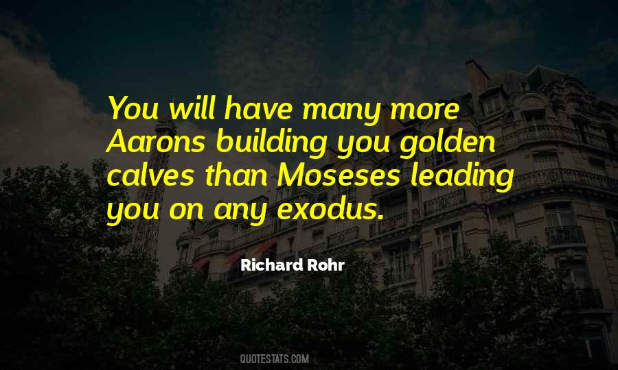 Richard Rohr Quotes #921649