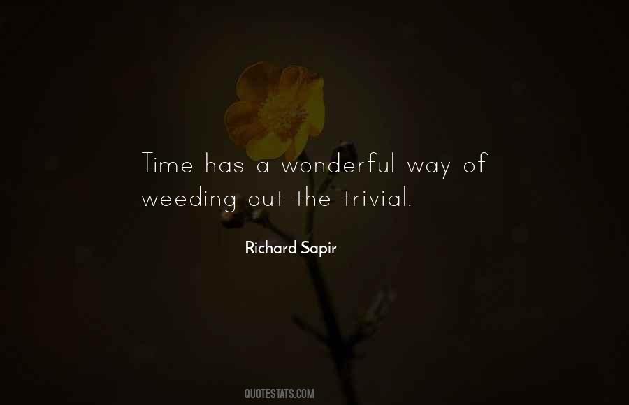 Richard Sapir Quotes #919652