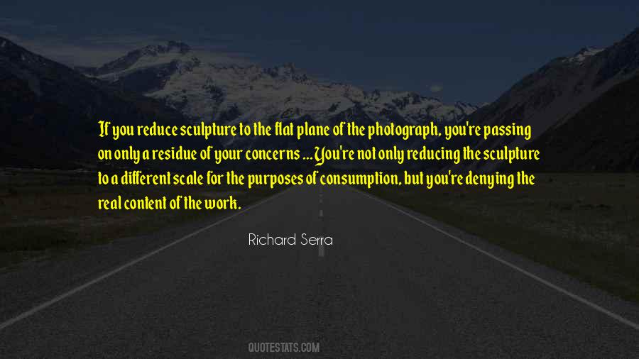 Richard Serra Quotes #33849