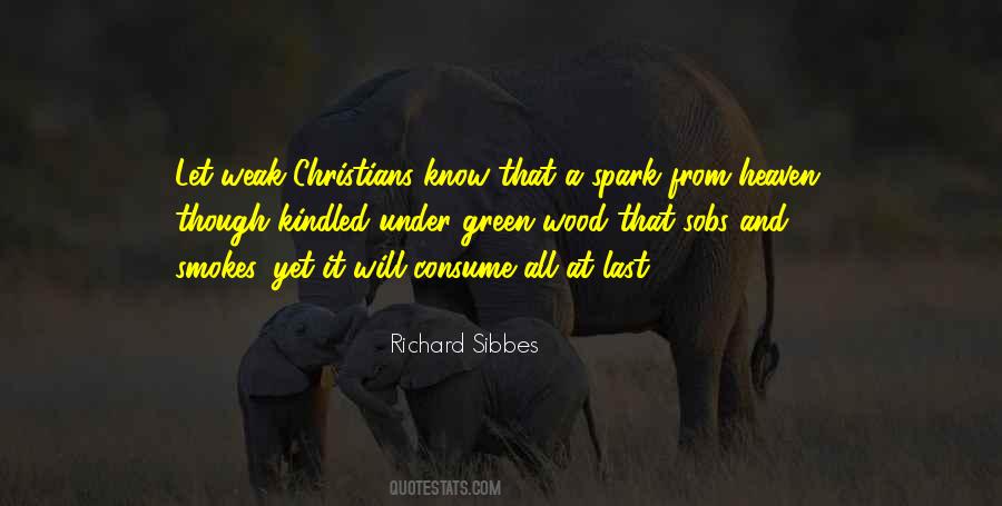 Richard Sibbes Quotes #1605124
