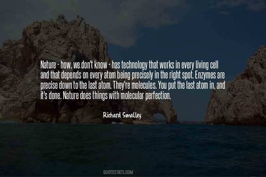 Richard Smalley Quotes #393806