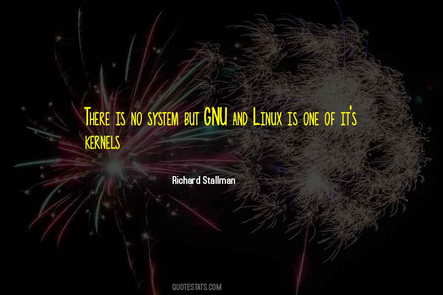 Richard Stallman Quotes #1259370