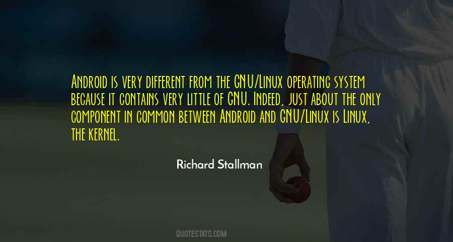 Richard Stallman Quotes #160454