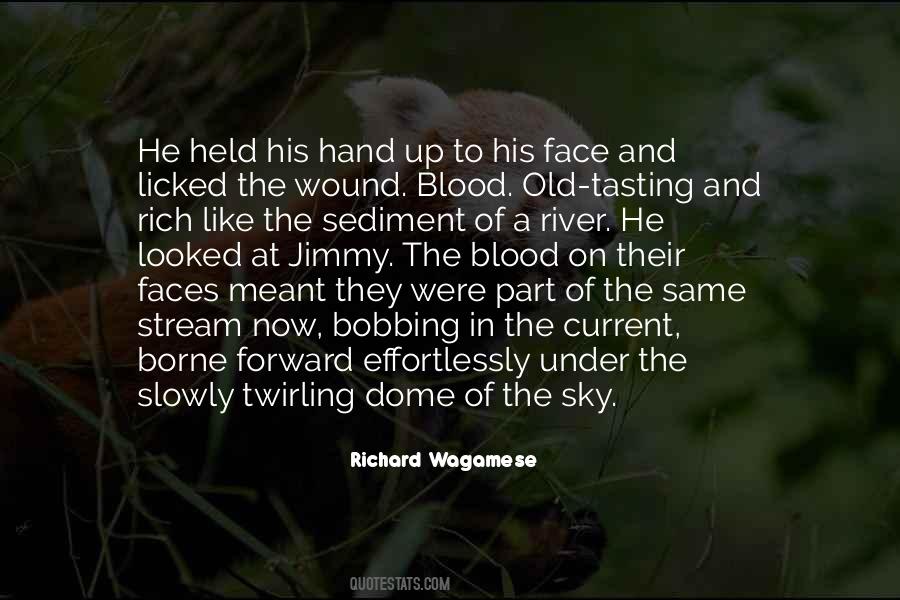 Richard Wagamese Quotes #1015323