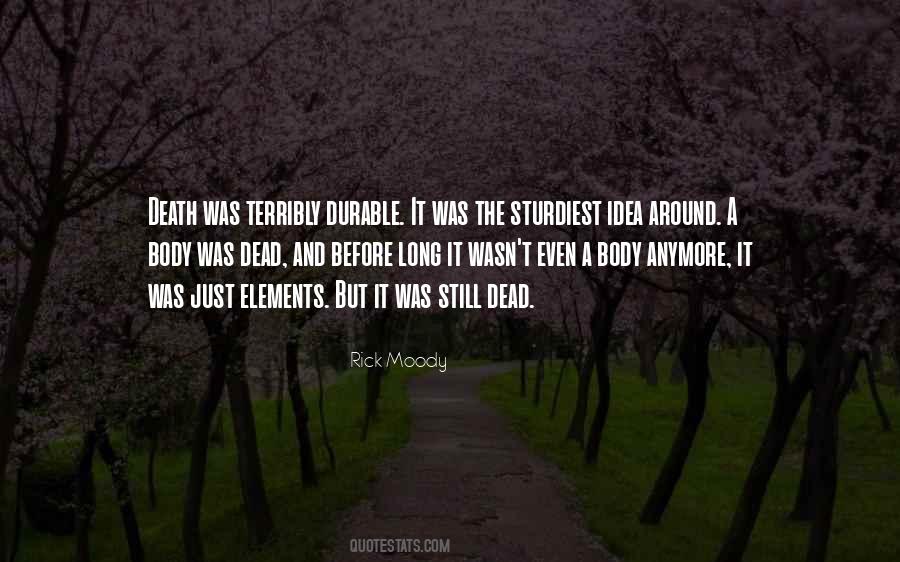 Rick Moody Quotes #1359439