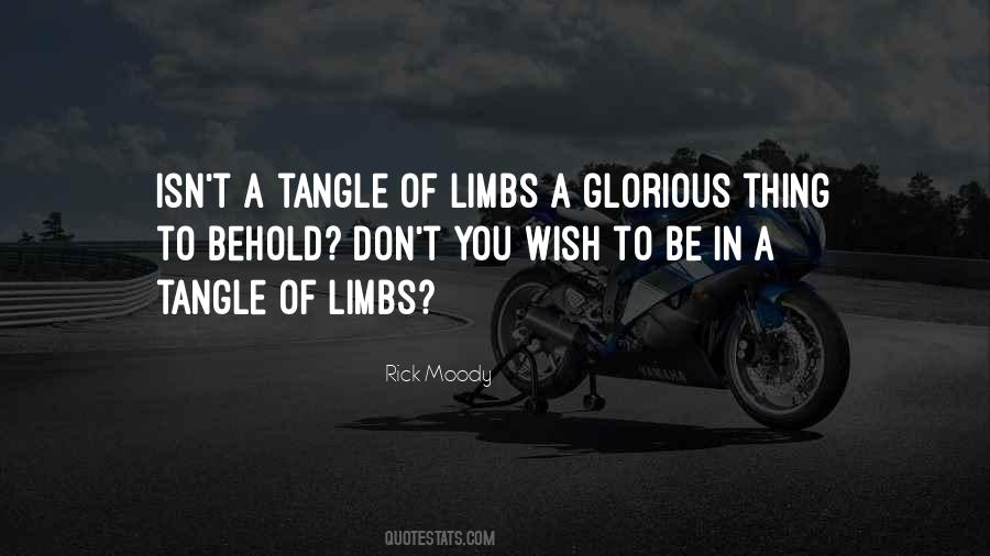 Rick Moody Quotes #237877