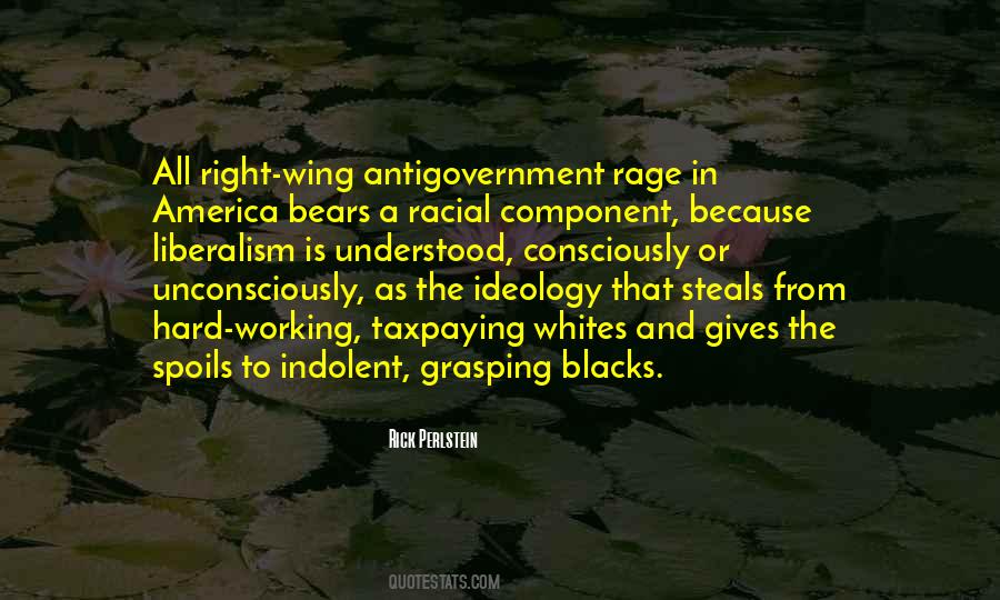 Rick Perlstein Quotes #669162