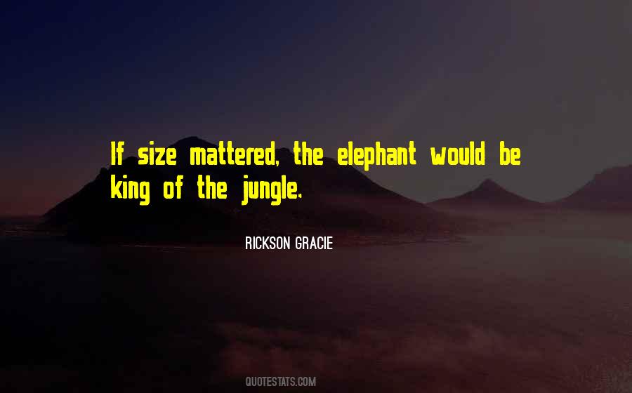 Rickson Gracie Quotes #774769